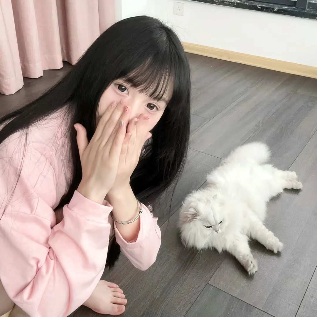 宅门里的丫鬟们